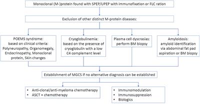 Monoclonal gammopathies of clinical significance (MGCS): In pursuit of optimal treatment